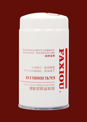 Personalised Fuel Diesel Engine Oil Filter 612600081334 M20x1.5