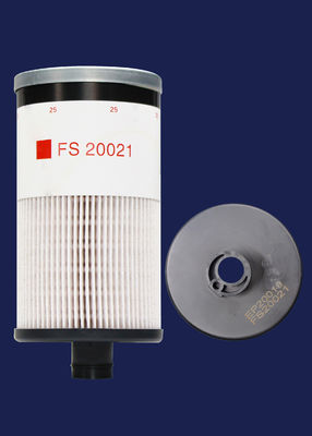 Diesel Primary Industrial Equipment Filter Element FS20021 EP20019